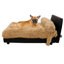 Lit orthopédique pour animaux Mid-Century-1932509633-1953814889