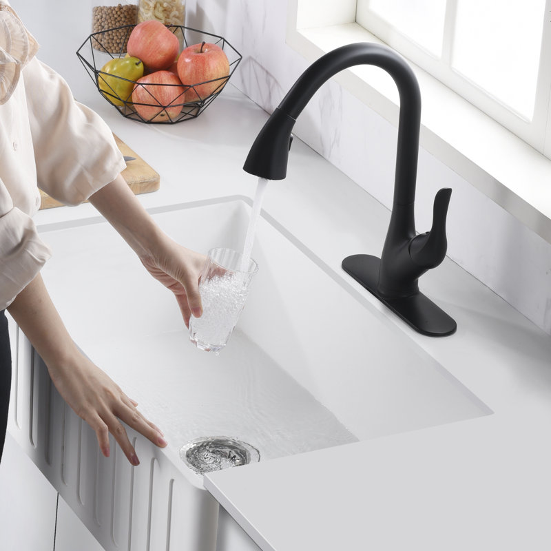 ANZZI Pull Down Kitchen Faucet, Matte Black