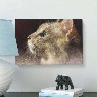 Curious Cat - Wrapped Canvas Painting