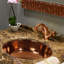 Regatta 16'' L Bathroom Sink