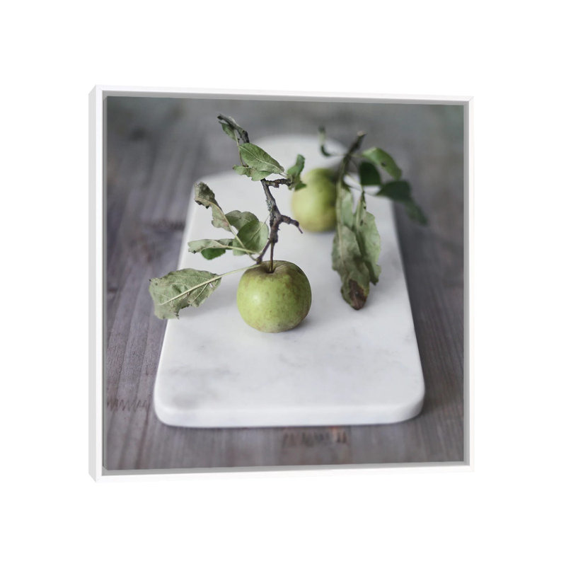 Growth Begins by Sarah Gardner - Print on Canvas, 66.04 cm H x 66.04 cm W, White Floater Frame