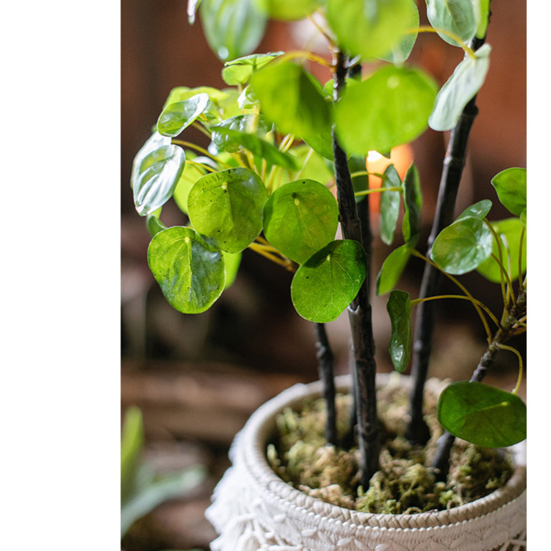 Plante pilea artificielle 26,4 po en pot