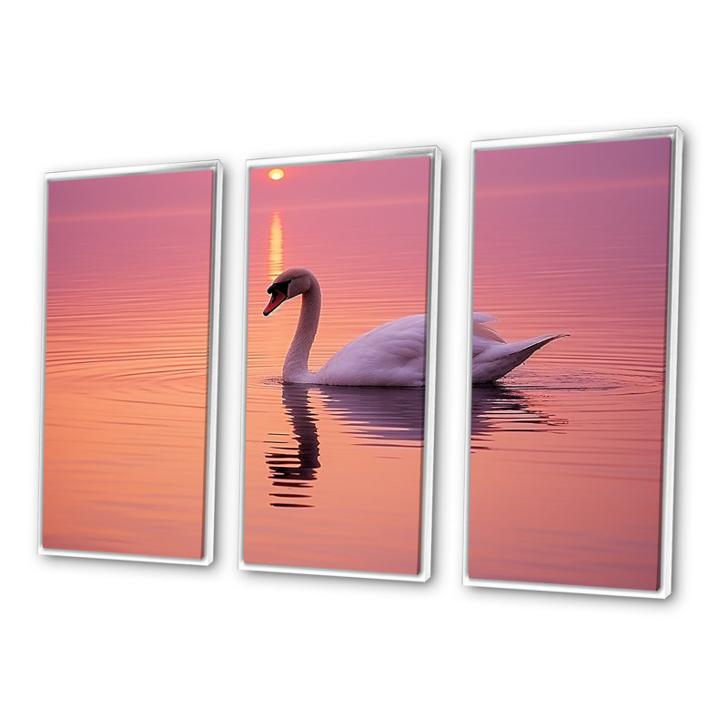 Corail, cygne au crépuscule I - cygne, ensemble d'art sur toile, Cadre flottant blanc, H 32 po x l 48 po