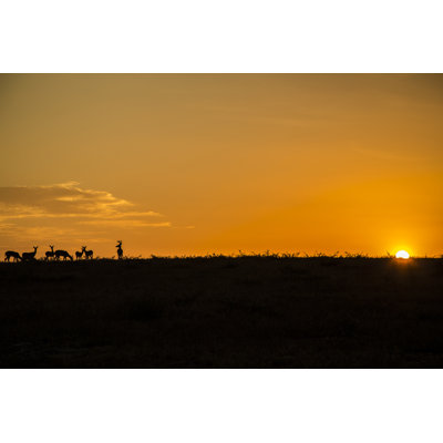 Holubice Under The Texas Sky - Wrapped Canvas Print