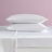 Betsey Johnson Soft Satin Sheet Sets-55869948-98493722