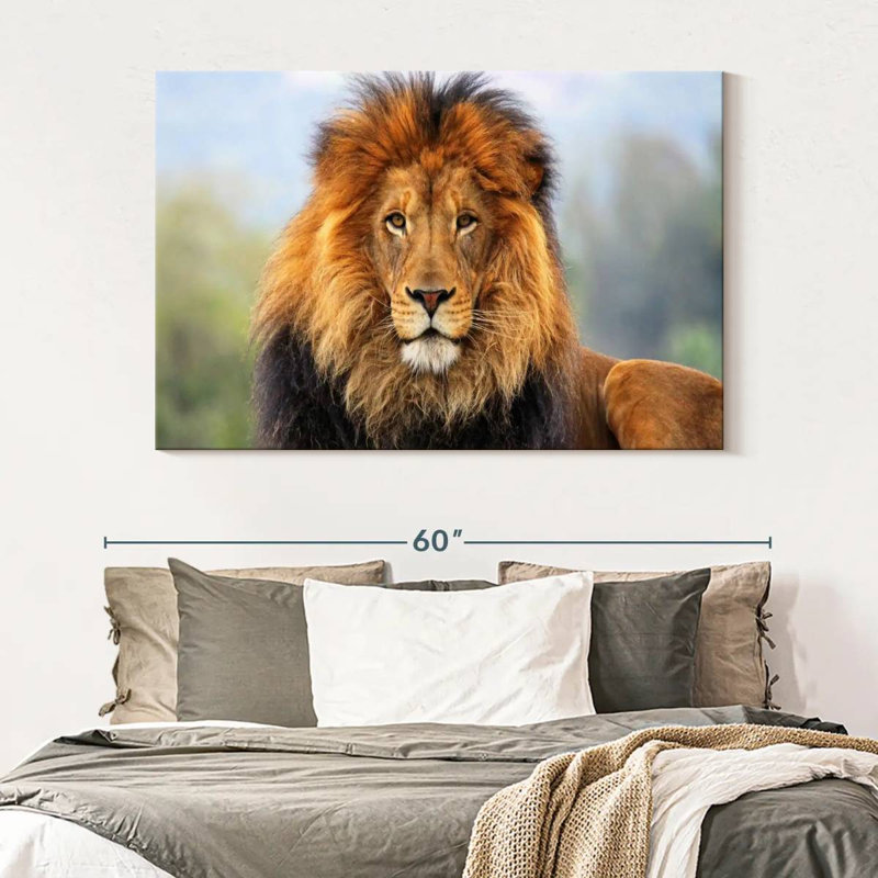 Proud Lion - reproduction sur toile tendue, H 34 po x l 51 po x P 1,25 po