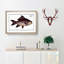 Fringed Carp Fish by M.E. Bloch - Picture Frame Painting Print-55577608-55577609