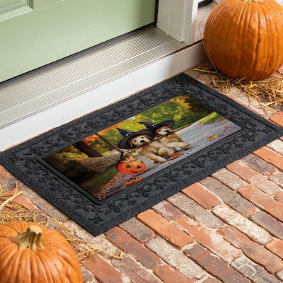 Tapis Goldass avec balais Sassafras