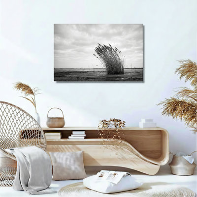 Ensemble de 1 tableau sur toile « Ciel de roseaux »