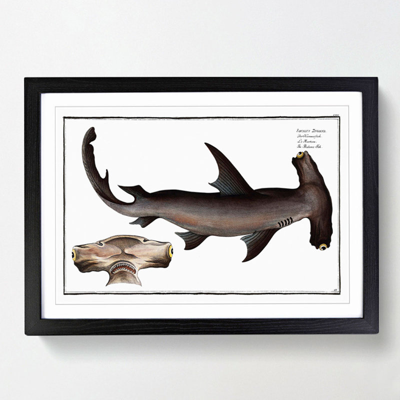 Hammerhead Shark by M.E. Bloch - Picture Frame Painting Print, 36cm H x 48cm W x 2cm D, Black Framed