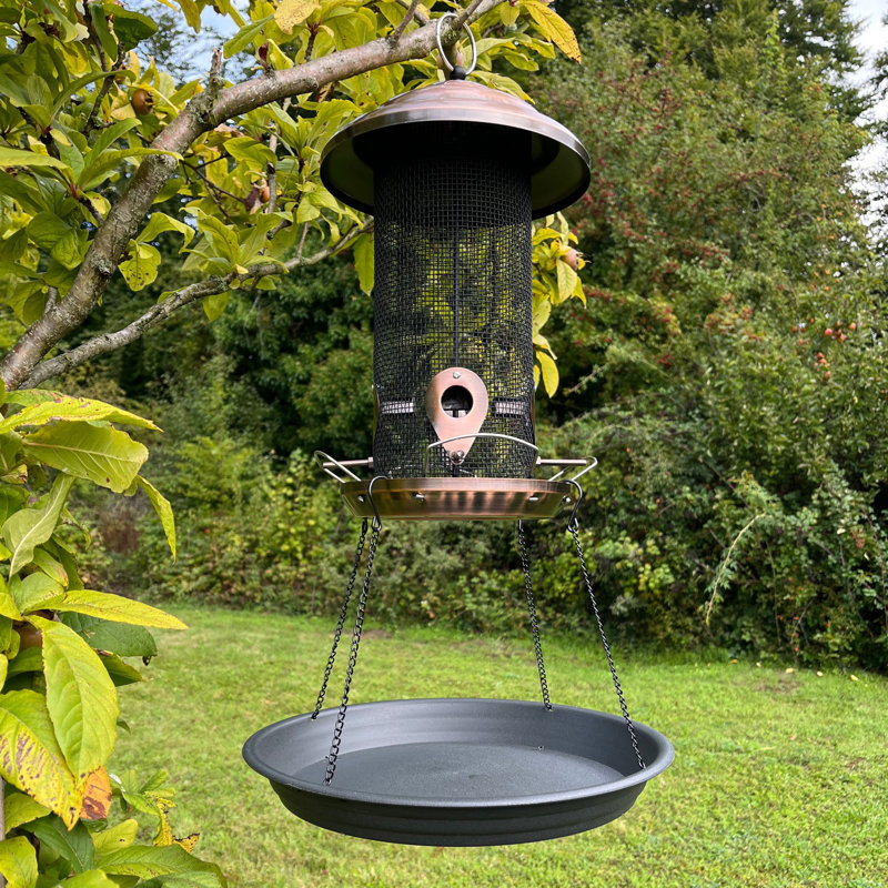Allonte Hanging Tray Bird Feeder