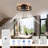 20'' Low Profile Farmhouse Reversible Caged Ceiling Fan with Light Kit and Remote-1650830872