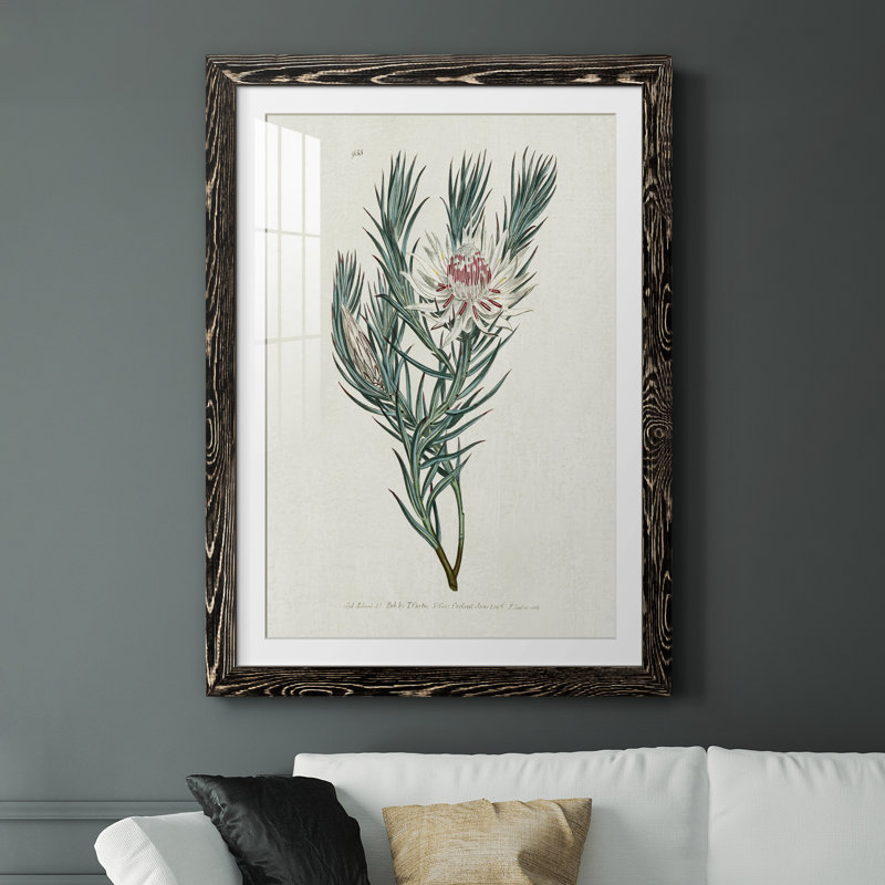Protea N33 - Peinture encadrée, Cadre noir, H 31,5 po x l 23,5 po x P 1,5 po