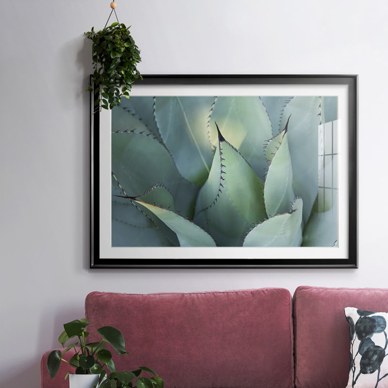 «Blue Agave I», impression sur papier, H 30 po x l 44 po x P 1,5 po, Noir