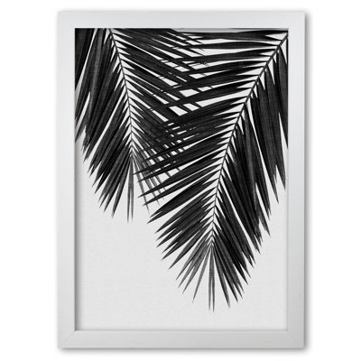 PaIm Leaf II - Print