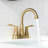 Centerset 2-handle Bathroom Faucet with Drain Assembly-48895513