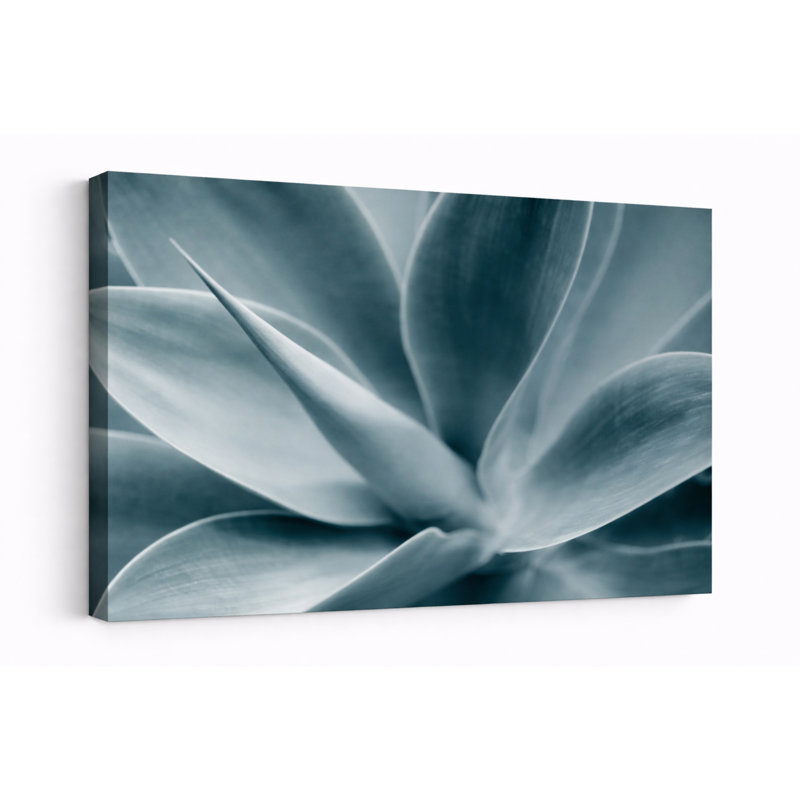 Cool Agave - estampe numérique sur toile tendue avec châssis, 18" H x 24" W