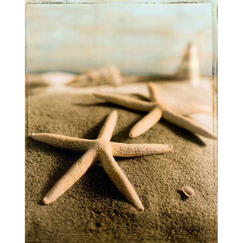 Coquillage IV, H 24 po x l 19 po