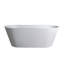 Baignoire de trempage autoportante de 65 pouces pour salle de bain