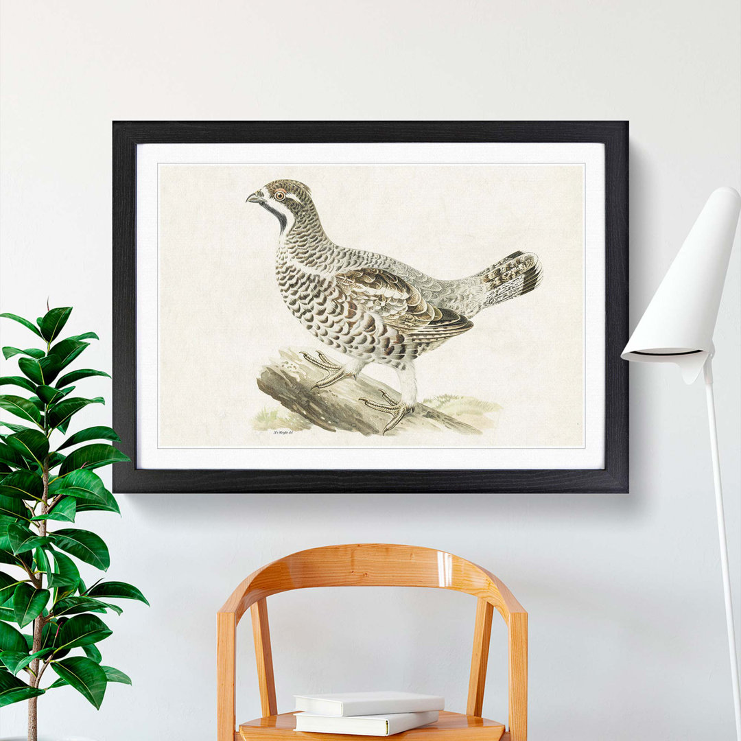 Hazel Grouse by Von Wright - Picture Frame Painting Print