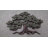 Tree of Life Wall Art