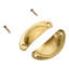2Pcs Shell Cup Furniture Handles-121087435