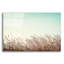 «Retro Grass» par Photoinc Studio, art en verre acrylique Wal-516668994