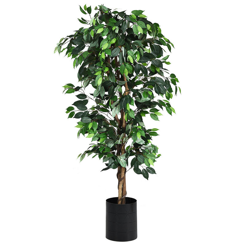 72'' Faux Ficus Tree in Pot