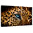 Leopard Eyeing Prey-107887182