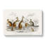 Kangaroos by Oliver Goldsmith - Wrapped Canvas-55363177
