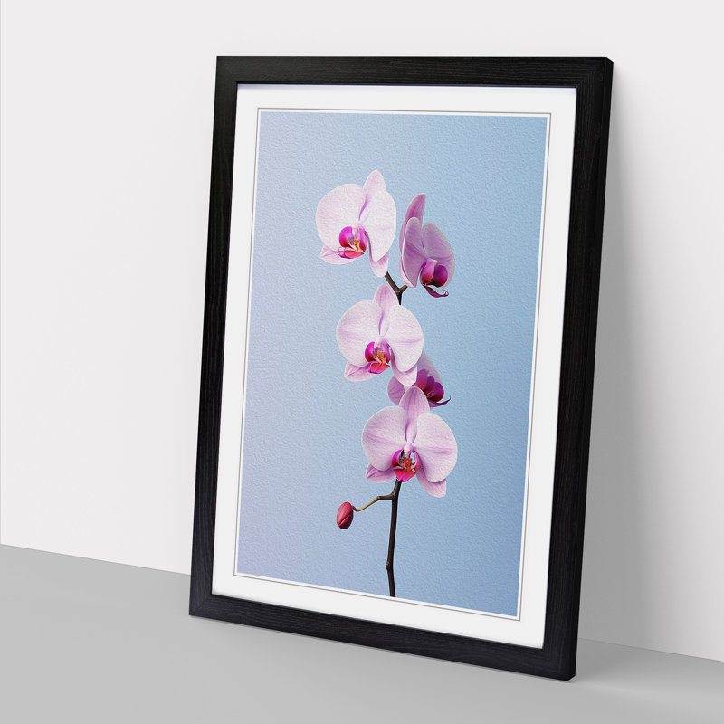 Orchid Flower Minimalism 1 Piece Single Picture Frame Wall Art, 34cm H x 25cm W x 2cm D, Black