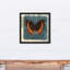Tourbillons et papillon-1946654990