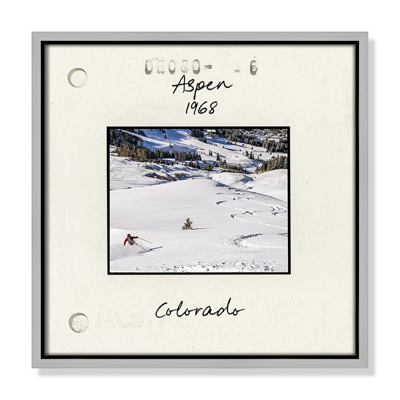 Aspen Print par CAD Designs, 13.5'' W x 13.5'' H, Framed Canvas, Silver Floater