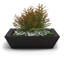 Bassin Newport-168742802-168742809