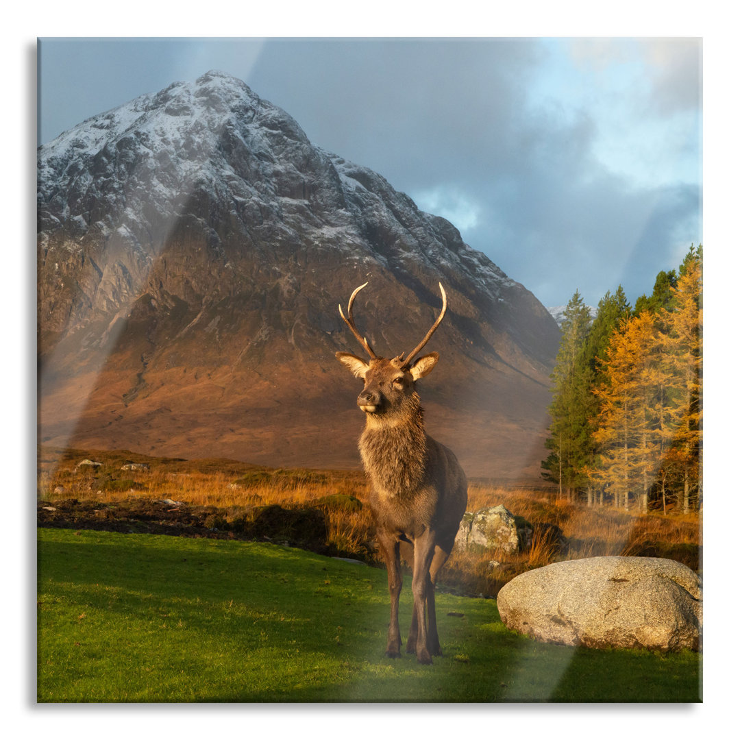 Glasbild Einsames Rentier vor einer Berglandschaft