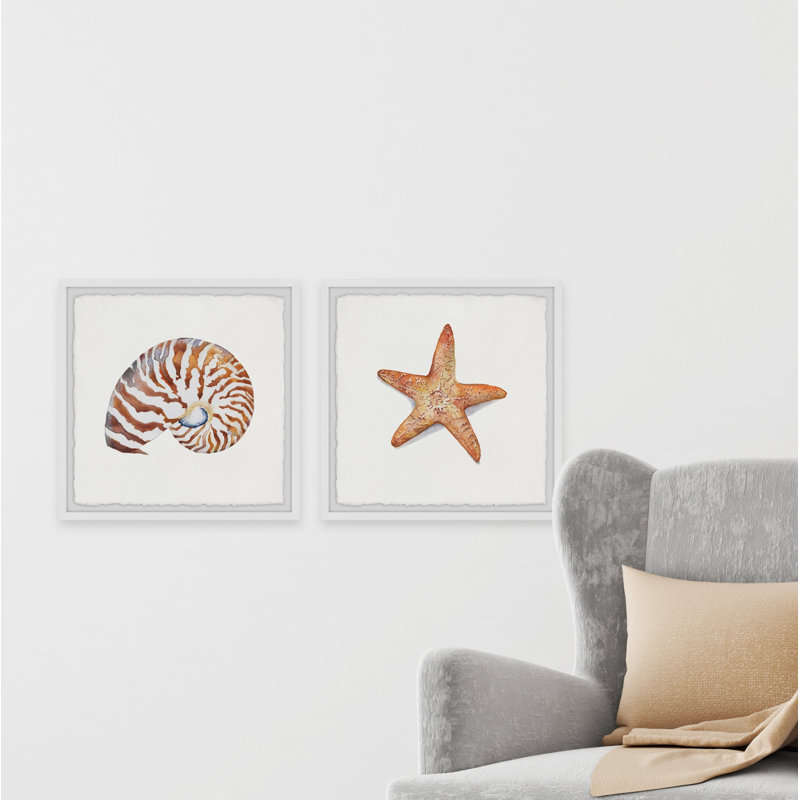 Starry Shell - 2 Piece Single Picture Frame Painting, 61cm H x 122cm W x 3.81cm D