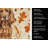 Boykin Spaniel Heirloom Fall Kitchen Towel-1218231039