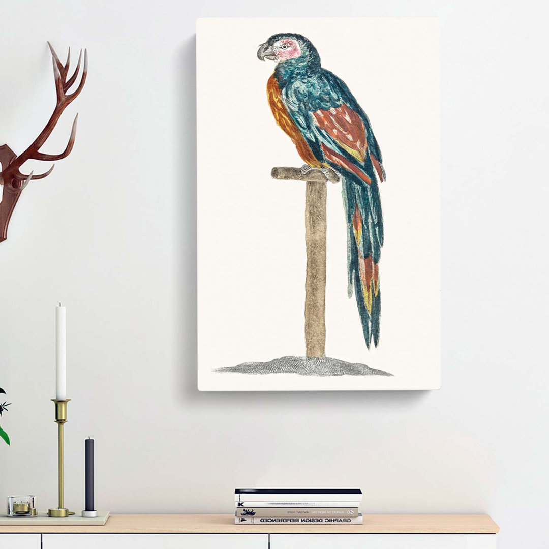 Colourful Parrot by Johan Teyler - Wrapped Canvas