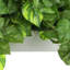 14 " H Faux Pothos Plant in Fiberstone Pot