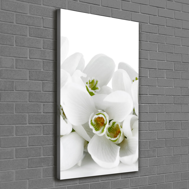 White Snowdrops - Wrapped Canvas Print