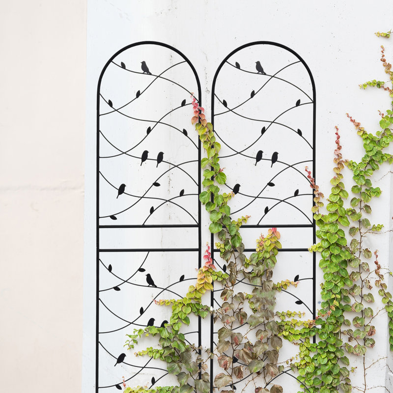 Treillis en métal antirouille, décoration de jardin noir pour le soutien des plantes d'extérieur