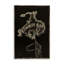 Plaque murale Cowboy Bar sur noir, design par Grotto Studios-715687397