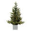 2.5' Lighted Artificial Fir Christmas Tree