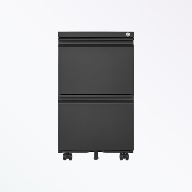 Mathusan 15.35'' Wide 2 - Drawer Filing Storage Cabinet, Black