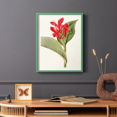 «Flora of the Tropics IV», reproduction encadrée - bois massif