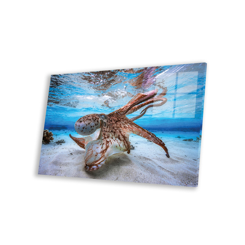 «Coreopsis Dancing Octopus On Plastique / Acrylique» par Barathieu Gabriel