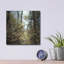 «Spring» par Kelly Sinclair-2130533541