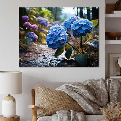 " Blue Purple Hydrangea Field II "