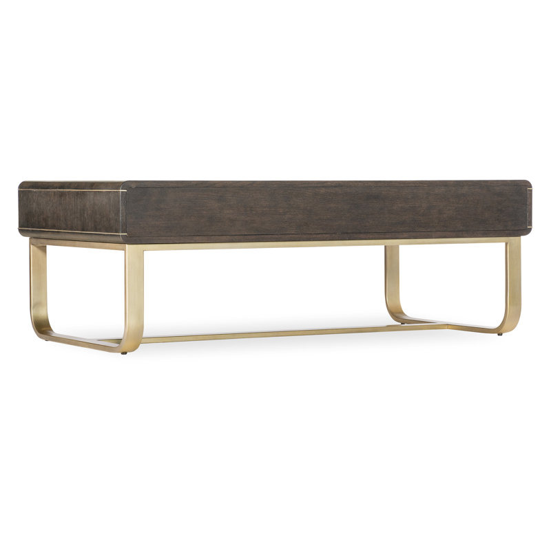 Rustic Brown and Gold Wood Metal Storage Cocktail Table