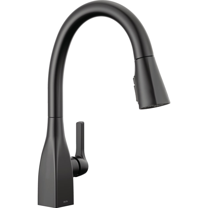 Robinet de cuisine à poignée simple avec accessoires Mateo ™, Noir mat